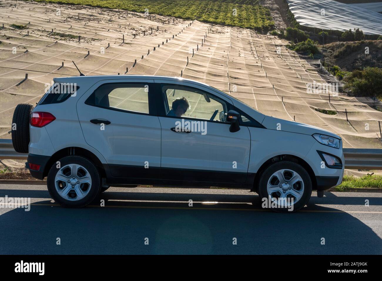 Riebeek Ouest, Afrique Du Sud. 2019. Voiture et touriste garé le long d'un vignoble avec des vignes couvertes d'ombre dans la région viticole de Riebeek West. Banque D'Images