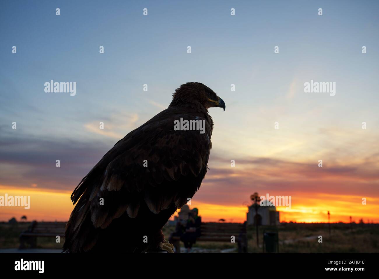 Silhouette d'aigle à Arystan Bab Kazakhstan. Banque D'Images