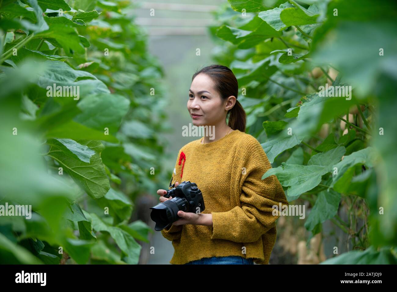 les jeunes femmes cultivateur utilisent une usine de tournage de caméra dans la serre Banque D'Images