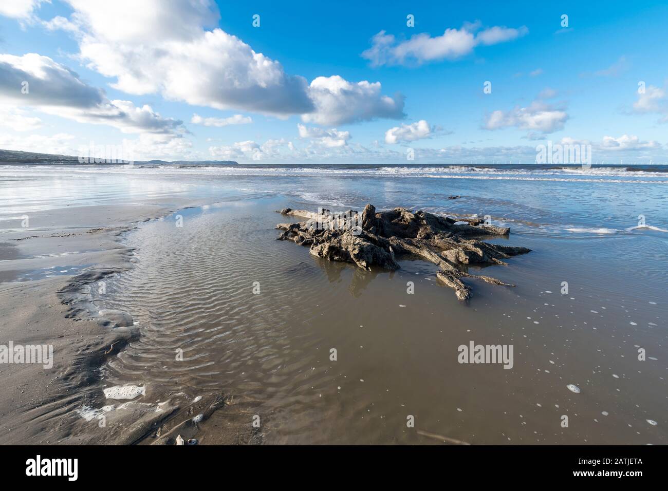 La concrétion partielle ou partiellement pétrifiée de l'arbre ancien demeure sur la plage Abergele Pensarn au nord du Pays de Galles Banque D'Images