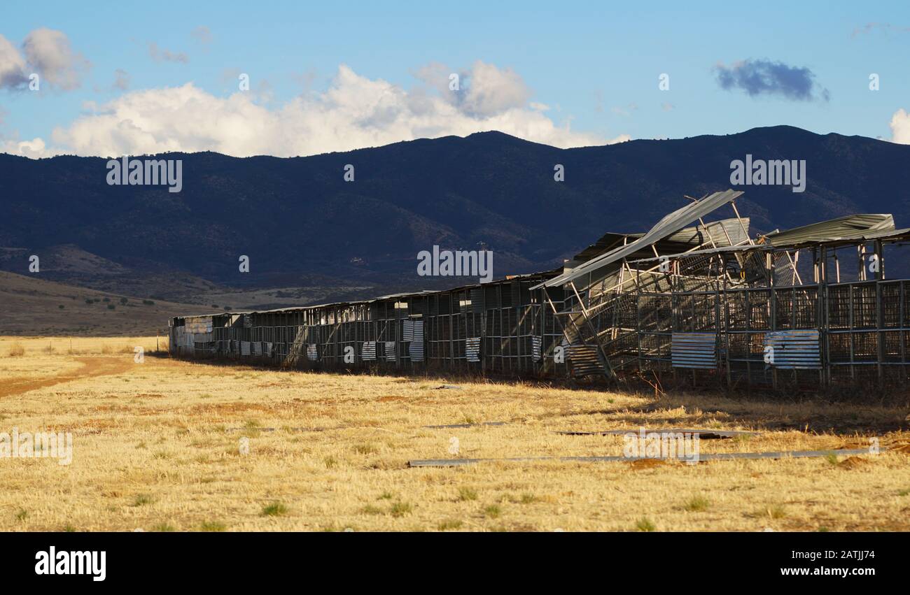 Les stylos de bétail anciens et abandonnés autrefois utilisés pour les foires et les rodéos sont installés dans un champ rural dans le sud-ouest. Banque D'Images