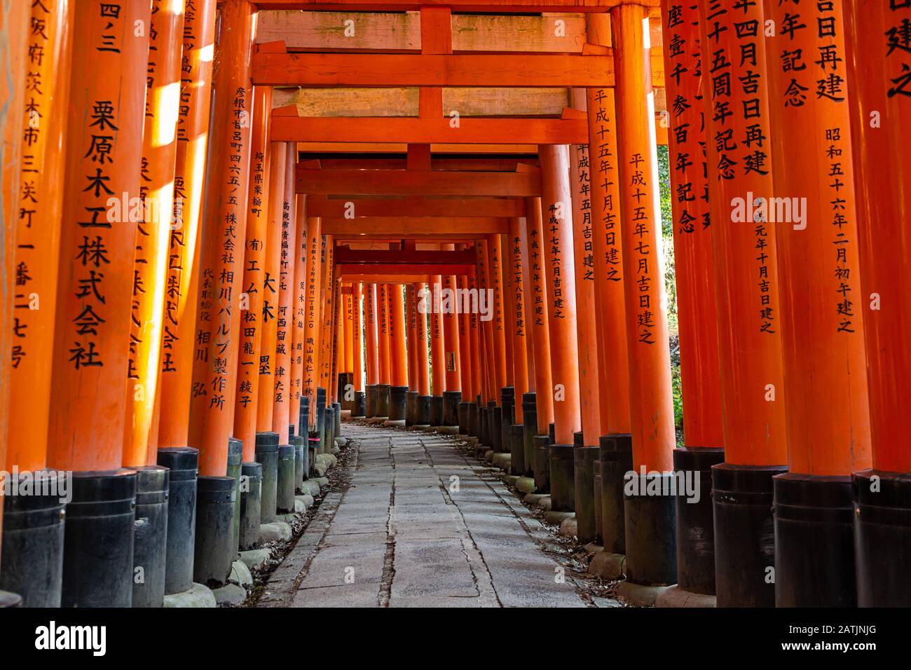 Portes Torri bordant le chemin de montagne au sanctuaire de Fushimi Inari à  Kyoto, au Japon Photo Stock - Alamy
