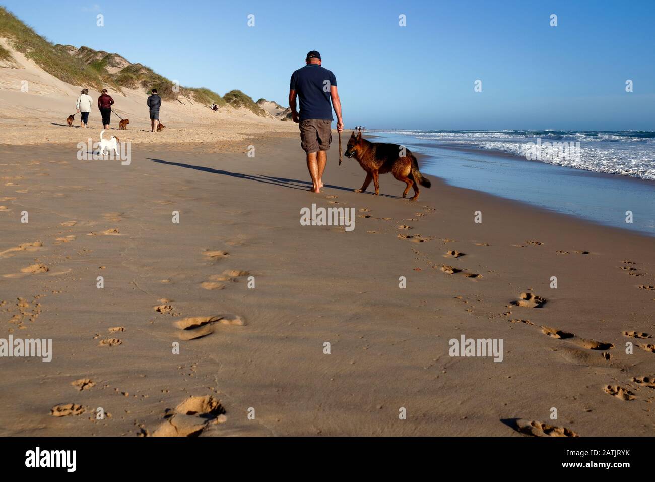 Les gens marchant leurs chiens le long de la plage à côté des imposantes dunes de sable de la baie de Sardaigne près de Port Elizabeth, le Cap oriental, Afrique du Sud Banque D'Images