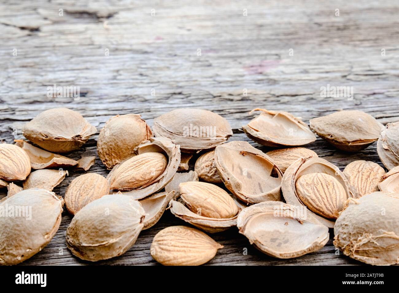 Le noyau d'abricots et de pierres sur le fond de vieux planches. Abricots pour la fabrication de comprimés et de médicaments. Gros plan. Banque D'Images