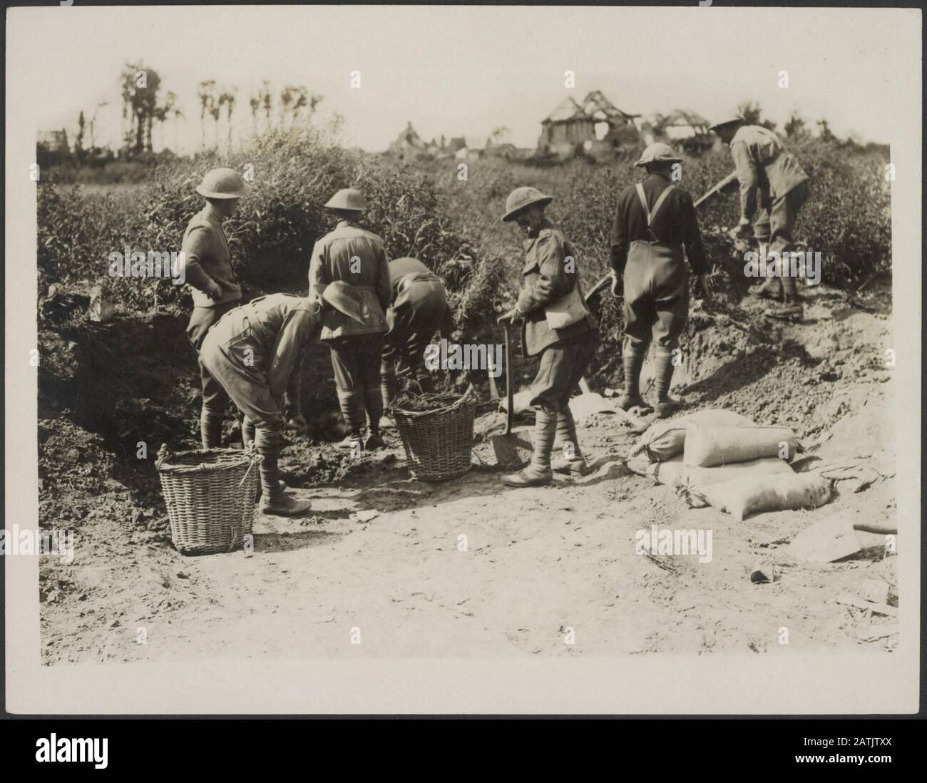 The British Western Front Description: Anzac Pioneers à l'avant Annotation: British Western Front. Anzac (Australian and New Zealand Army corps) Pionniers Date : {1914-1918} mots clés : première Guerre mondiale, fronts, soldats Banque D'Images