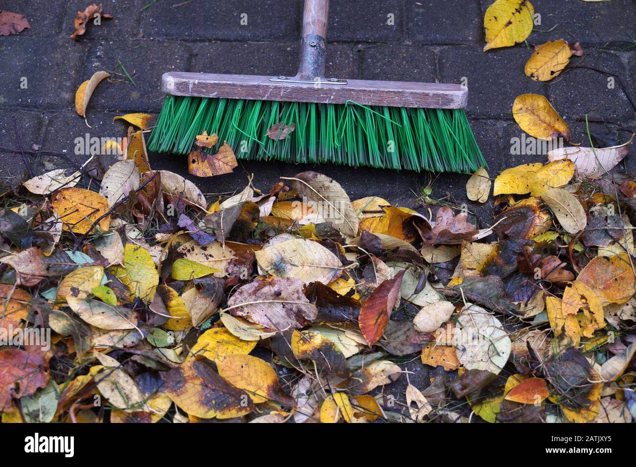 Gros plan sur les feuilles et une brosse de jardin. Nettoyage d'automne autour de la maison. Banque D'Images