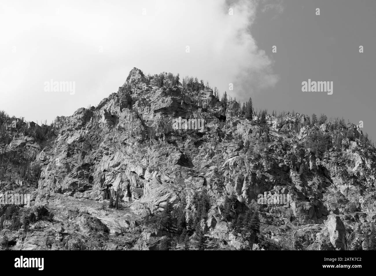 Fleur rouge gros plan avec rosée Banque D'Images