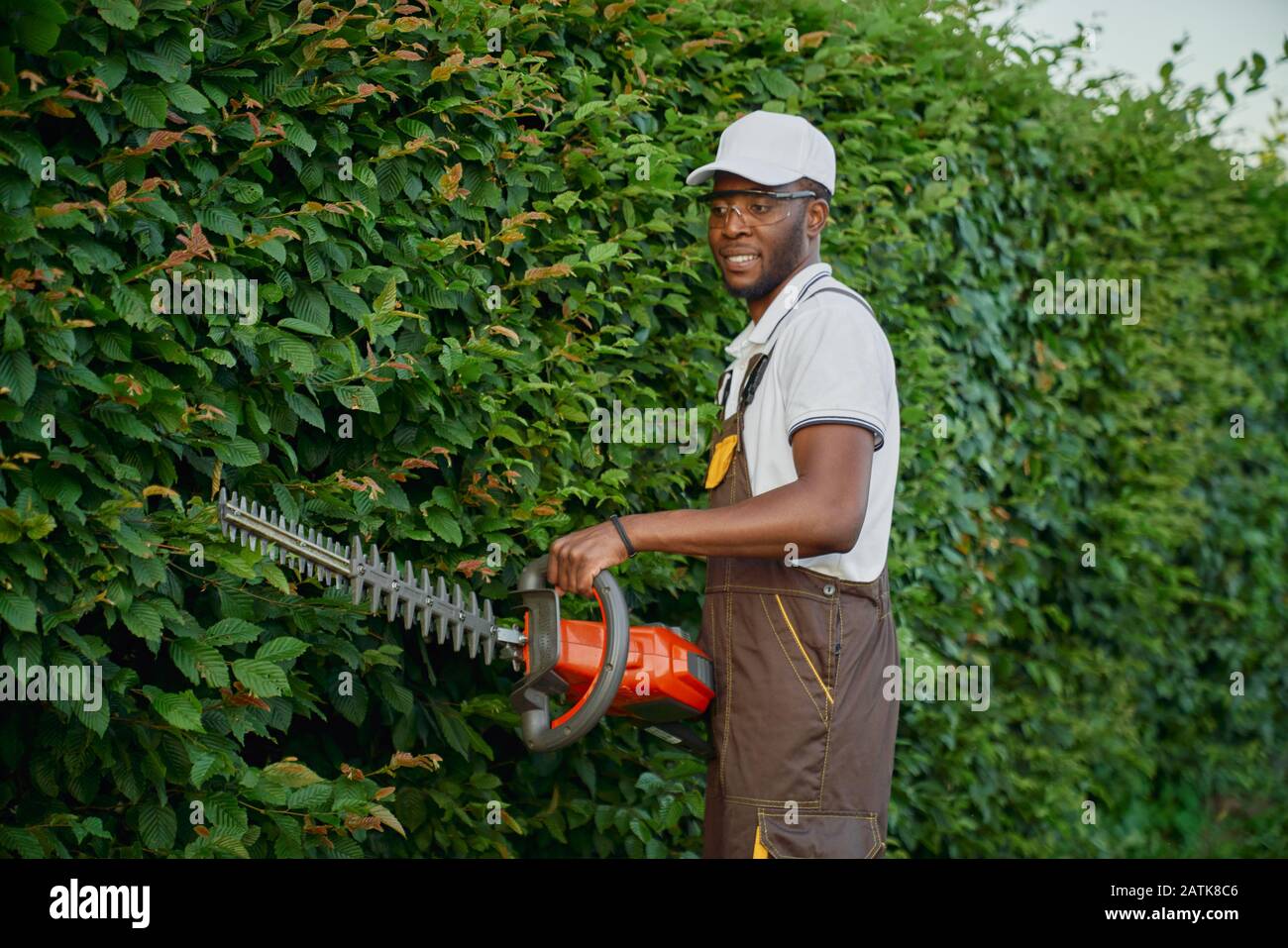 Jardinier masculin compétent dans l'ensemble marron, chapeau d'été et lunettes de protection élagage buissons avec taille-haie électrique. Concept d'activités de jardinage et de coupe Banque D'Images