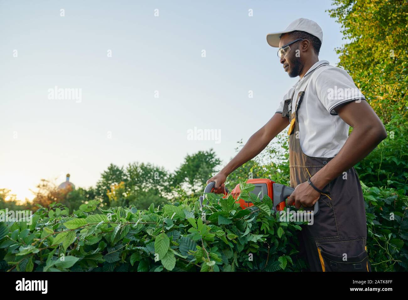Jardinier mâle concentré dans les vêtements de travail et les lunettes de protection coupant les buissons avec la taille-haie de patrouille dans le jardin. Homme africain dans l'élagage général spécial sur les branches et les feuilles surcultivées Banque D'Images