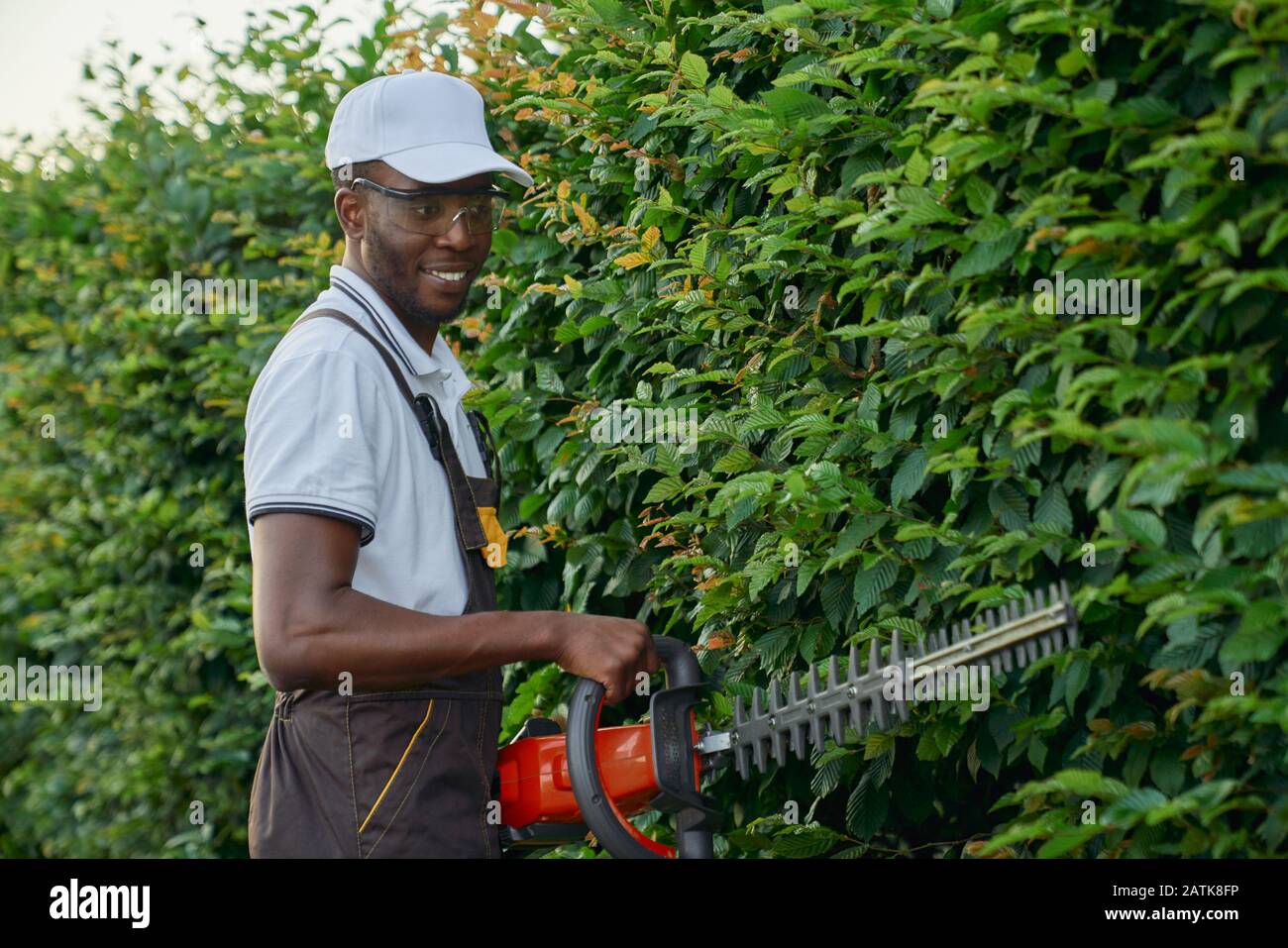 Beau homme africain dans les vêtements de travail et les lunettes de protection taille des feuilles vertes avec des cisailles à main à l'extérieur. Joyeux jeune jardinier qui coupe la couverture pendant la journée de travail. Banque D'Images