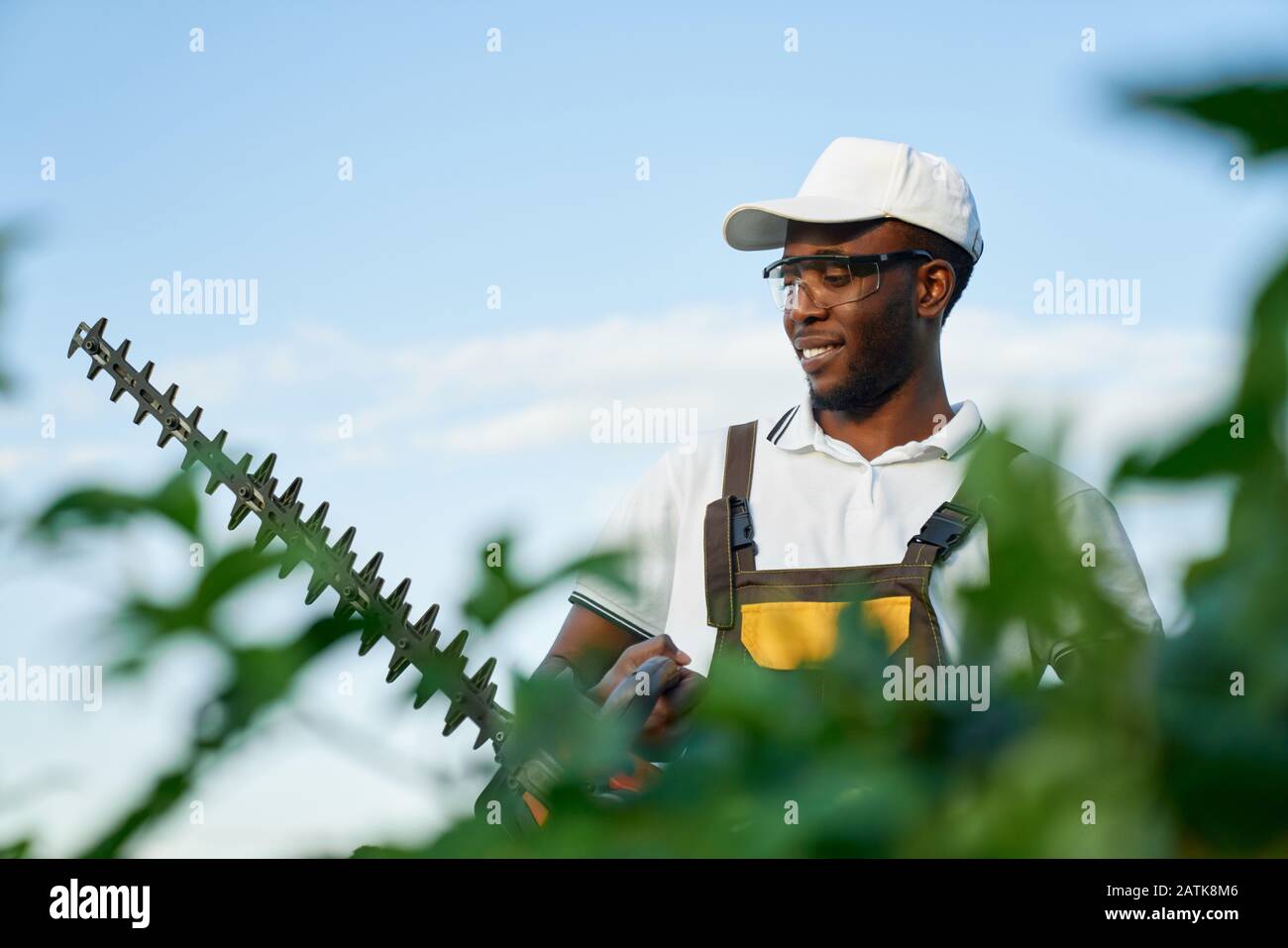 Heureux afro américain homme dans l'ensemble, chapeau d'été blanc et lunettes de protection debout près des buissons verts avec haies à essence. Jardinier masculin en uniforme travaillant dans le jardin avec un équipement spécial Banque D'Images
