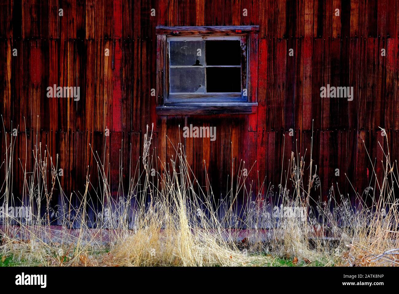 Vieille Grange rouge dans le champ Fin de l'automne ou brun automne herbe Weathered Wood Banque D'Images Vieille Grange rouge dans le champ Fin de l'automne ou brun automne herbe Weathered Wood Banque D'Images