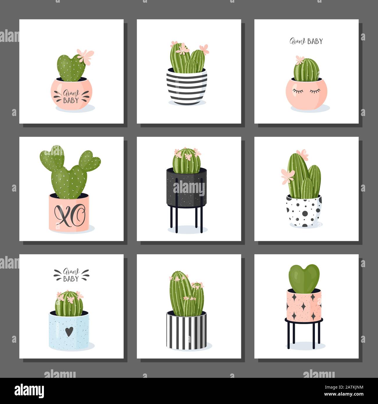Collection Cactus. Cactus fleuris en pots dans de jolis pots modernes et élégants. Illustration de Vecteur