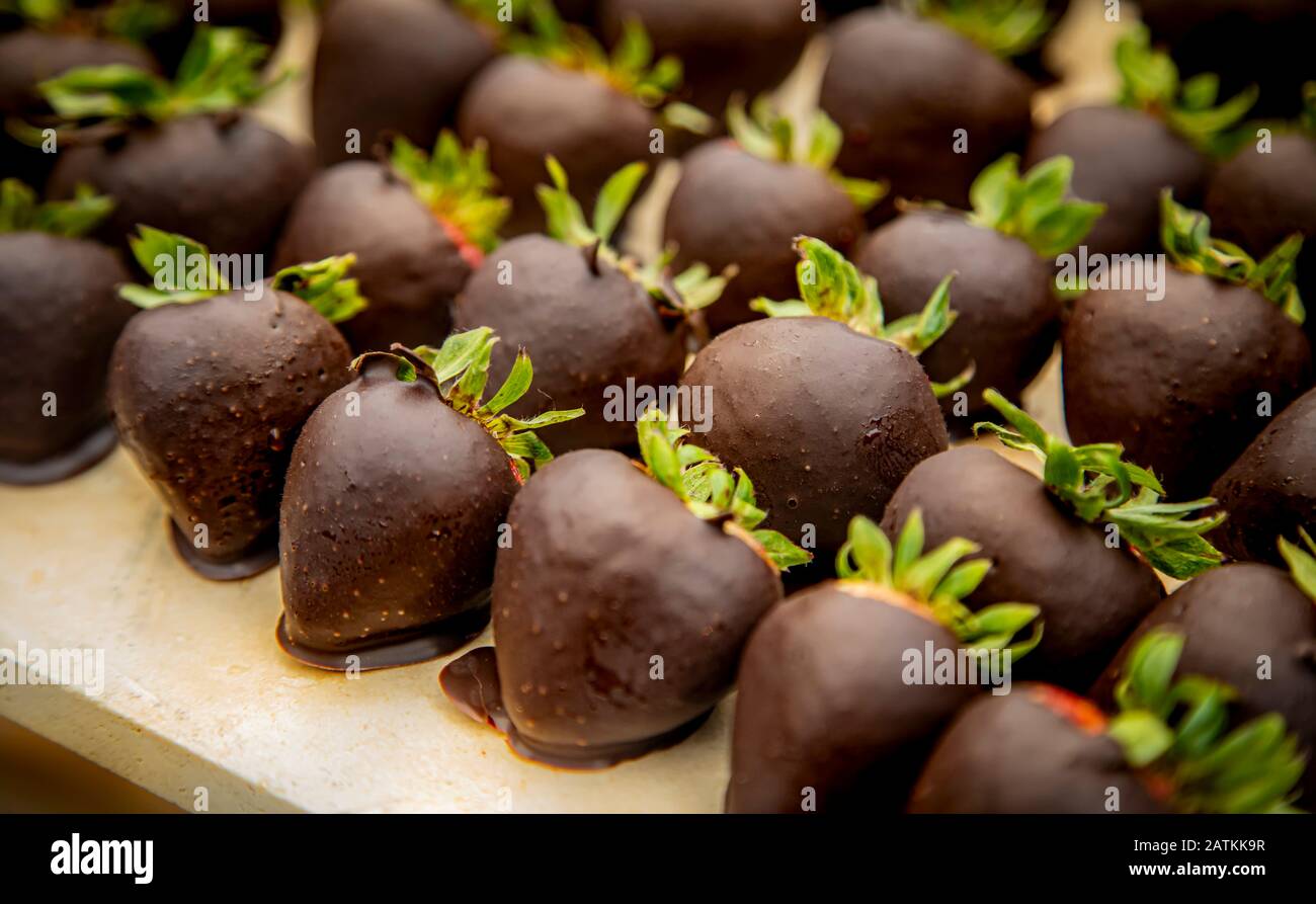 Gros plan sur un groupe de fraises enrobées de chocolat noir arrangée en diagonale à la fête Banque D'Images