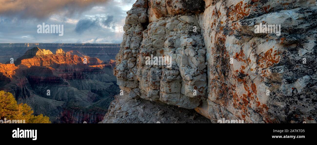 Vue Sur Le Parc National Du Grand Canyon Depuis Le Plateau Nord. Lichens sur les roches Banque D'Images