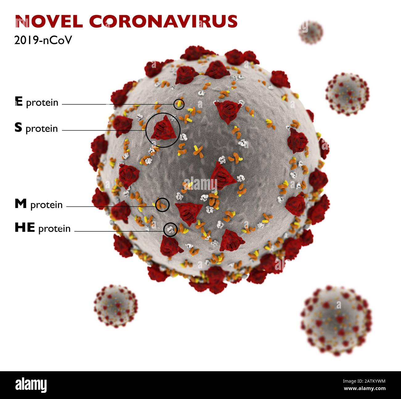 Vue microscopique du Coronavirus, un pathogène qui attaque les voies respiratoires. Contagion. Analyse et test, expérimentation. 2019-nCoV. Sras. Banque D'Images