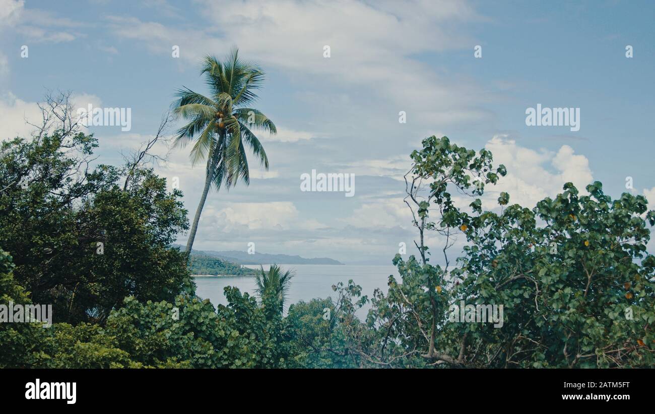 magnifique paysage cinématographique de l'île tropicale isolée et isolée du sud du pacifique avec une mer claire et une jungle dense et luxuriante forêt tropicale et une petite Banque D'Images