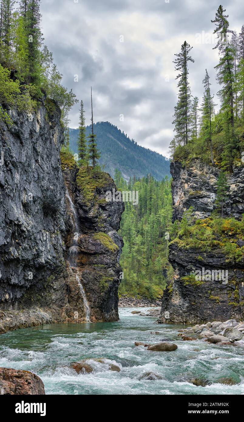 Passage étroit d'une rivière de montagne dans un canyon clampé. Sur la falaise se trouve une chute d'eau d'un petit ruisseau. Rivière Bilyeuty. Sayan De L'Est. Buryatia Banque D'Images