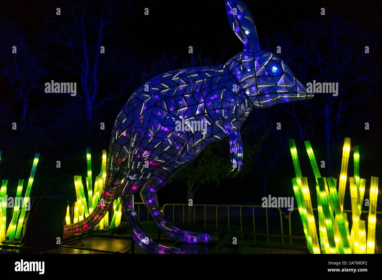 Sydney, Australie - 11 juin 2016 : sculpture légère du marsupial de bilby australien au zoo de Taronga pendant le festival lumineux Vivid Sydney. Australien Natif Banque D'Images