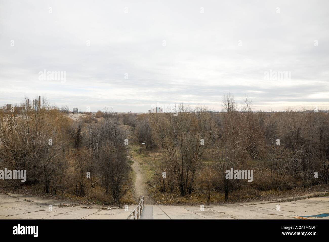 Le plus grand delta urbain d'Europe, le parc naturel de Văcăreşti à Bucarest, Roumanie. Banque D'Images