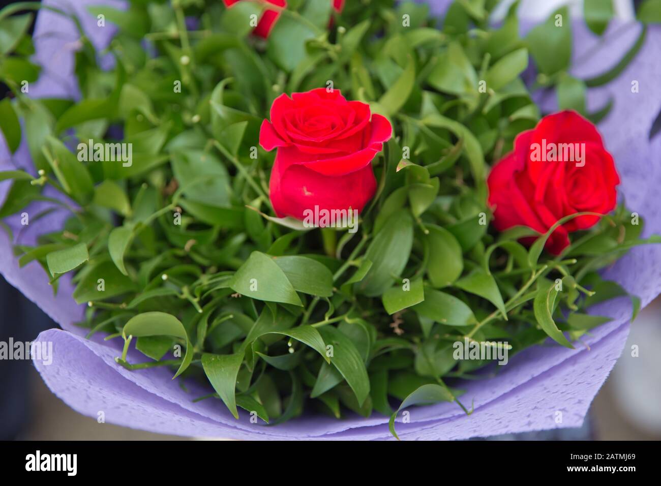 bouquet de roses multicolores . Fleur rouge gros plan dans le bouquet rose. Le pétale de la fleur . Bouquet de 2 roses rouges fraîches . Banque D'Images