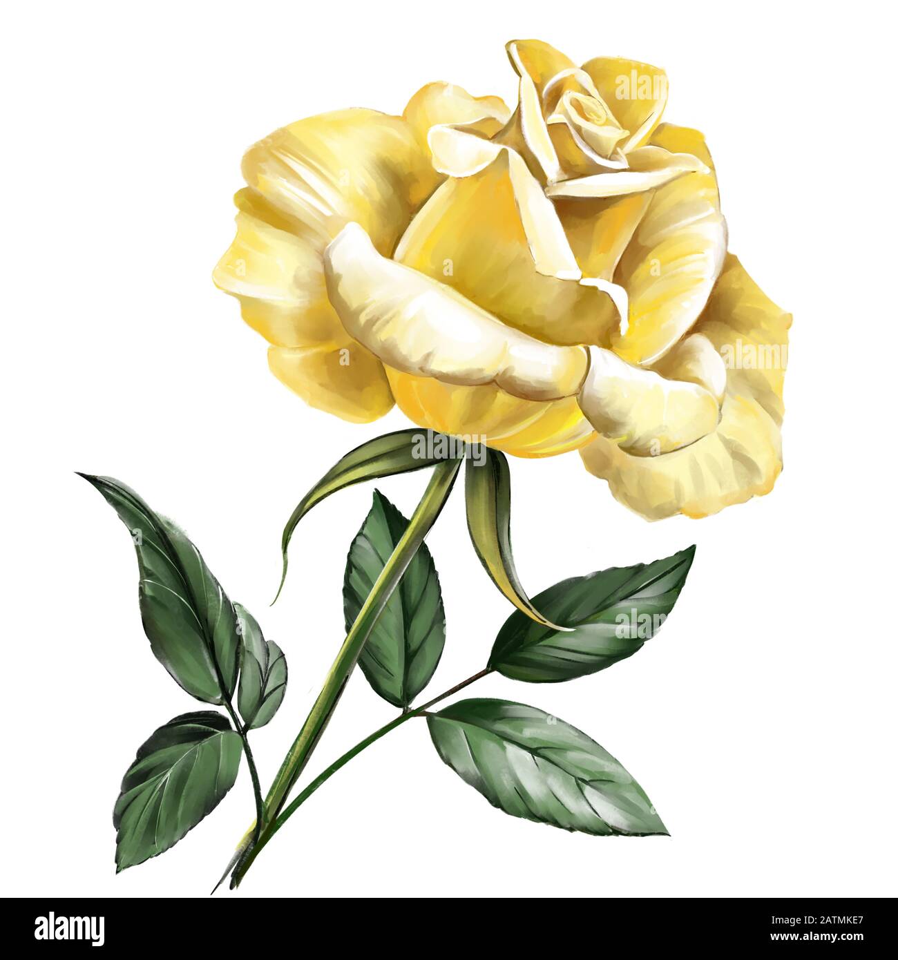 fleur rose jaune avec feuilles vertes, illustration d'art peinte avec des aquarelles isolées sur fond blanc. Banque D'Images