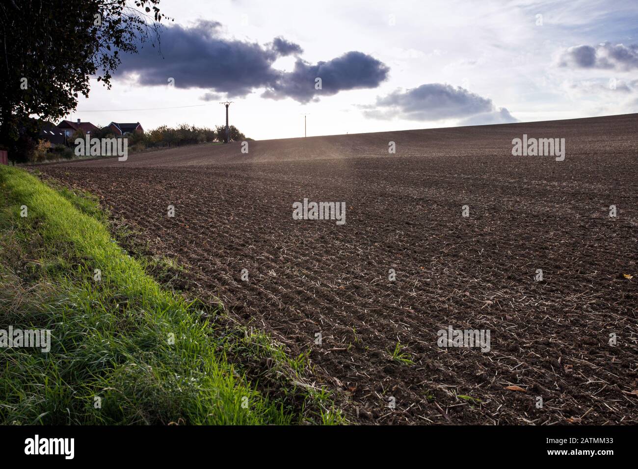 Les terres agricoles ont récemment été labourées et préparées pour la récolte Banque D'Images