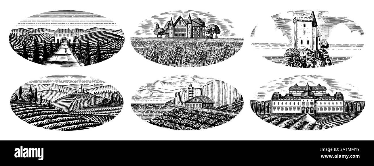 Ensemble De Vignes. Plantation de vignes pour étiquettes de bouteilles. Vue panoramique sur le paysage gravé français ou italien. Montagnes Champs Ruraux Collines De Blé. Tiré à la main Illustration de Vecteur Ensemble De Vignes. Plantation de vignes pour étiquettes de bouteilles. Vue panoramique sur le paysage gravé français ou italien. Montagnes Champs Ruraux Collines De Blé. Tiré à la main Illustration de Vecteur