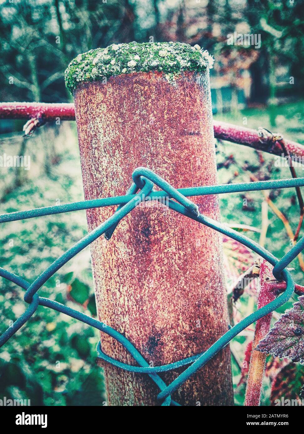 Planche en acier rouillée sur la clôture du jardin Banque D'Images