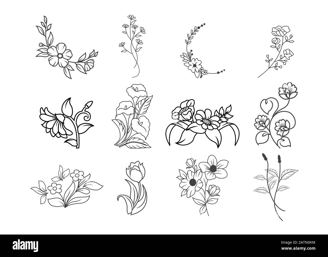 Jeu de vecteurs fleuris de champ d'été dessiné à la main. Illustration du champ floral, fleur sauvage, trait noir blanc Illustration de Vecteur