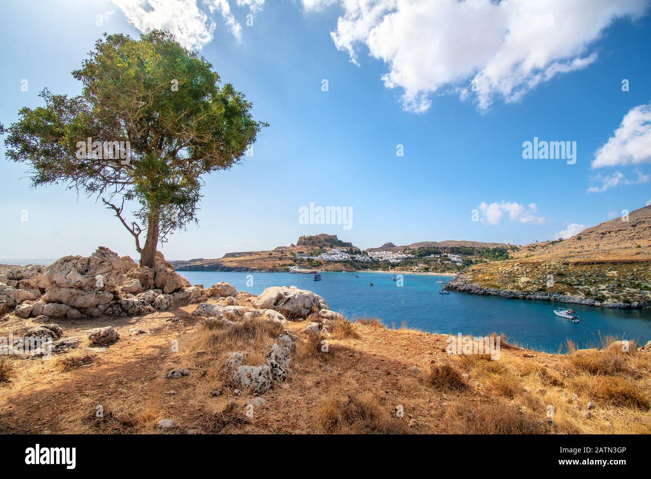 Arbre seul avec rochers, village et Acropole de Lindos en arrière-plan (Rhodes, Grèce) Banque D'Images