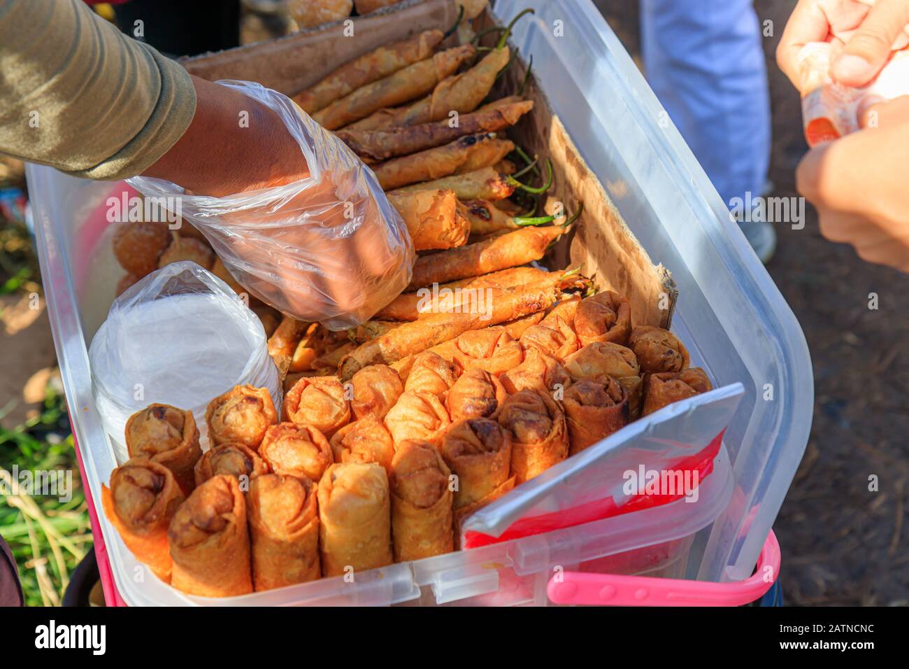 Dynamite Lumpia - Un Populaire Philippin Deep Fried Egg Roll Banque D'Images