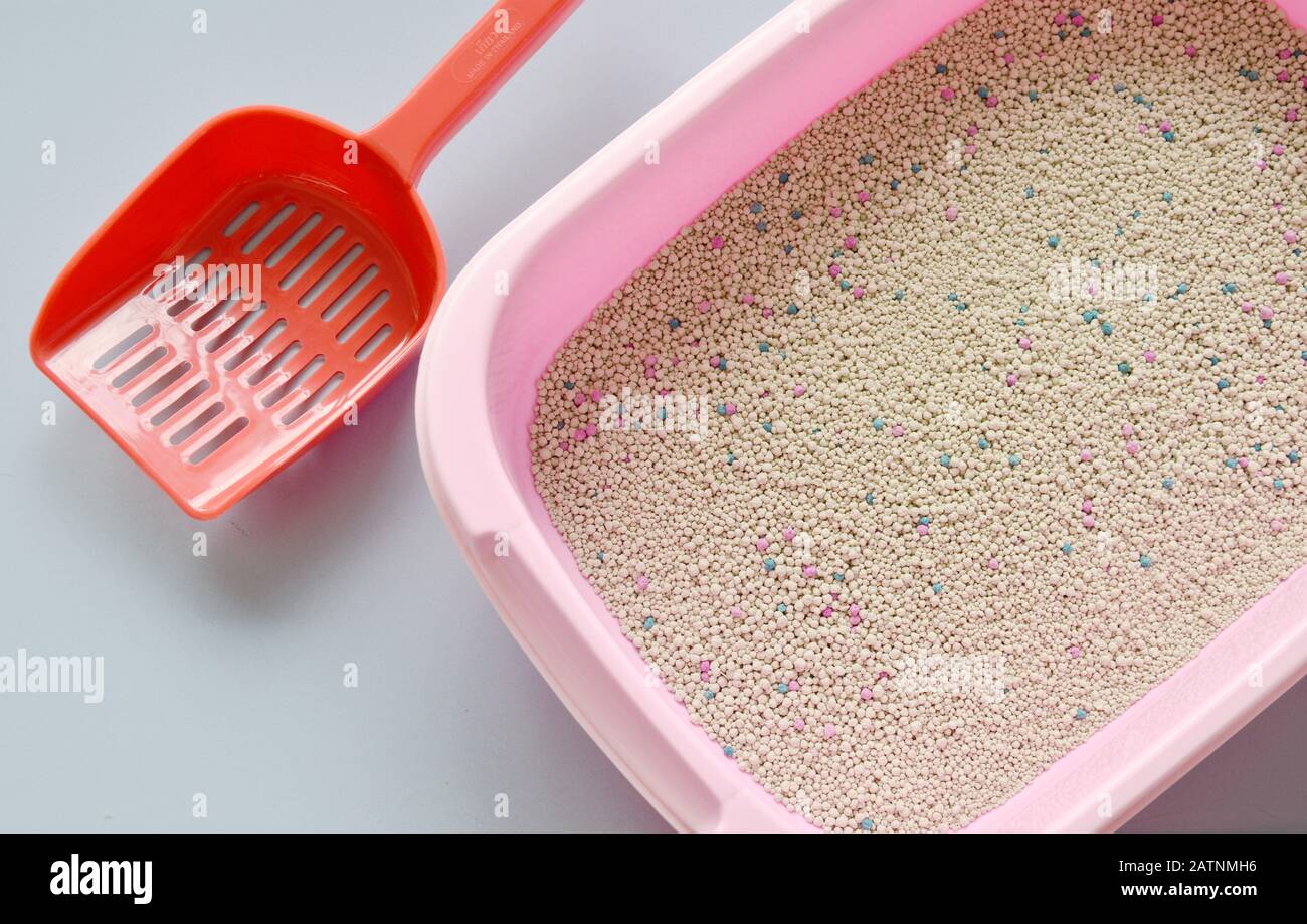litière cat dans une boîte rose et pelle en plastique rouge sur un sol en tuiles Banque D'Images