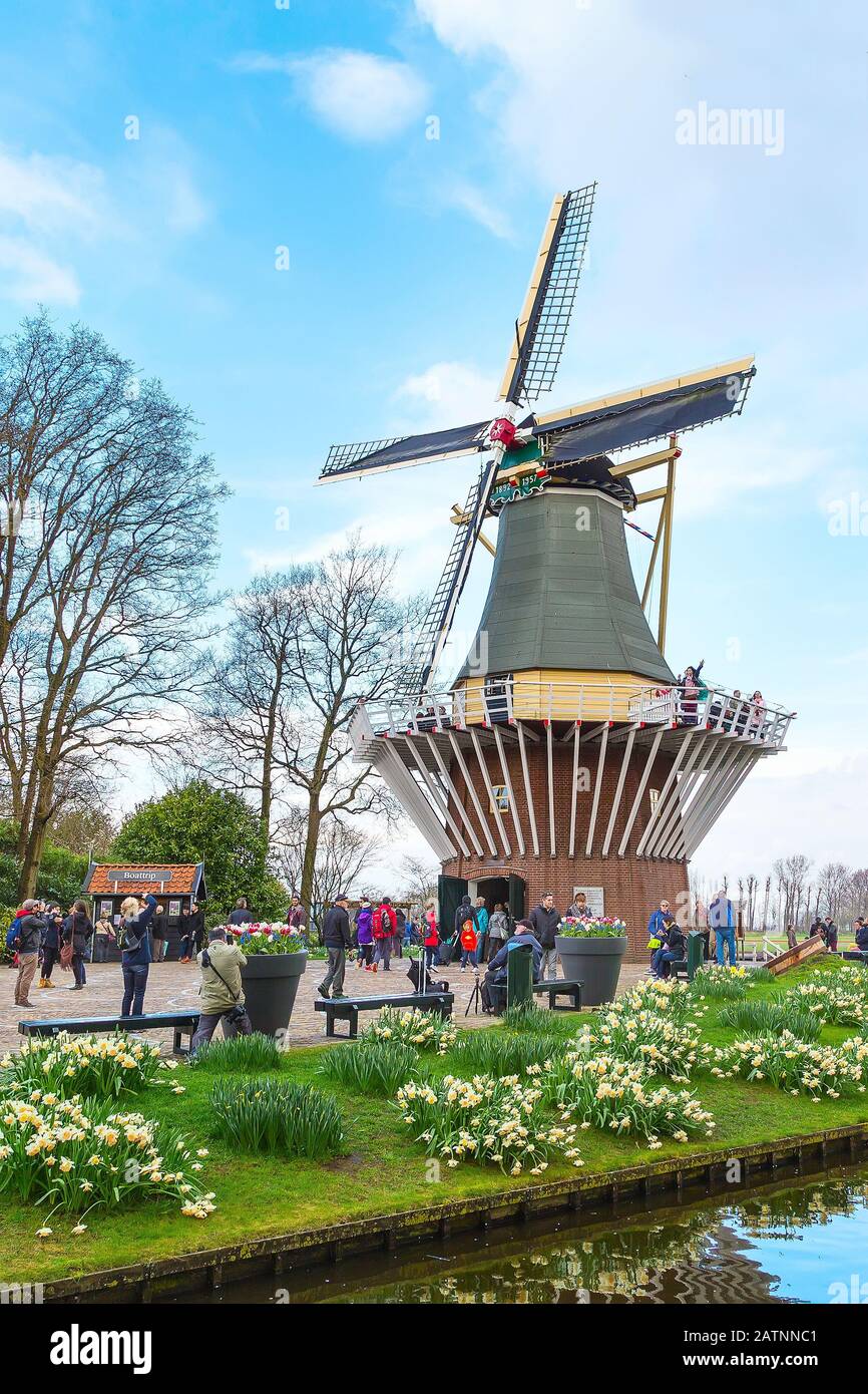 Lisse, Pays-Bas - 4 avril 2016 : Moulin à vent et parterres fleuries dans le jardin de printemps Keukenhof, peuple Banque D'Images