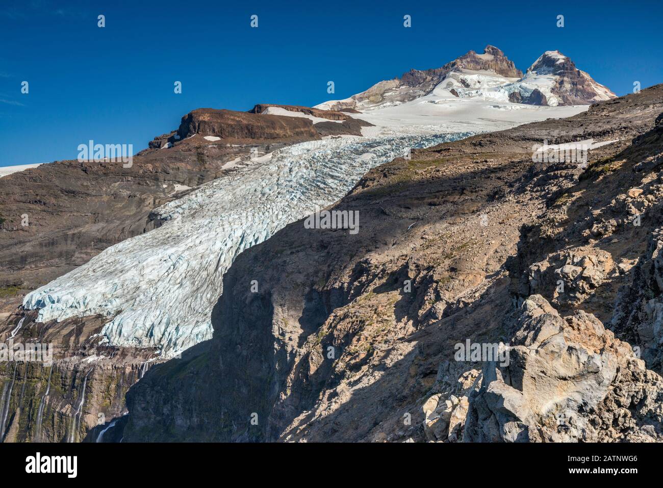 Glacier De Castano Overa, Massif Du Monte Tronador, Du Sentier Au Refugio Otto Meiling, Montagnes Des Andes, Parc National De Nahuel Huapi, Patagonia, Argentine Banque D'Images