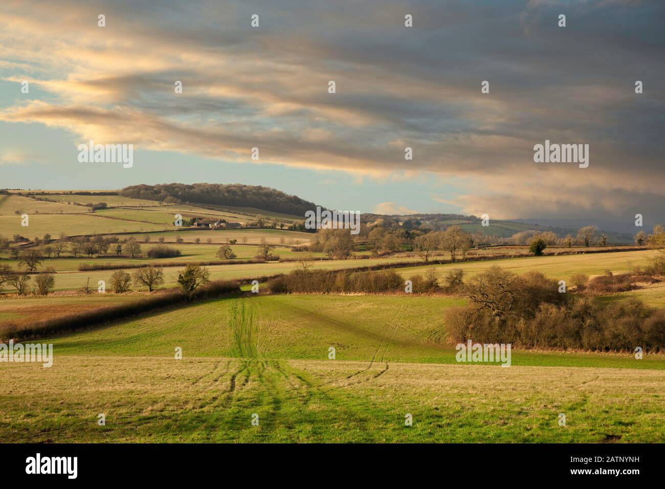 Terres Agricoles À Brockhampton Près De Winchcombe, Cotswolds, Gloucestershire, Angleterre Banque D'Images