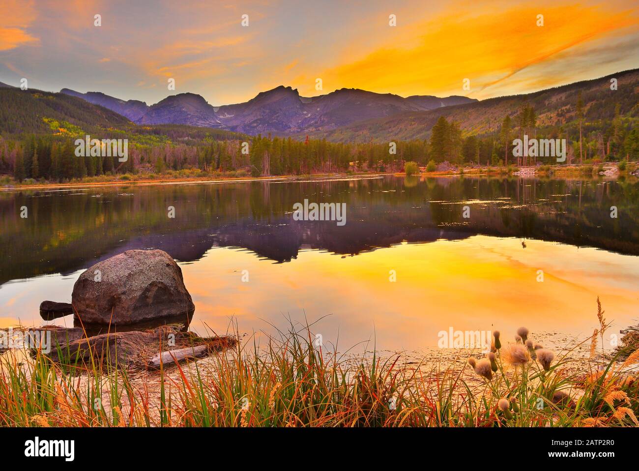 Coucher du soleil, le Pipit de Sprague, le lac Lake Trail, Rocky Mountain National Park, Estes, Colorado, USA Banque D'Images