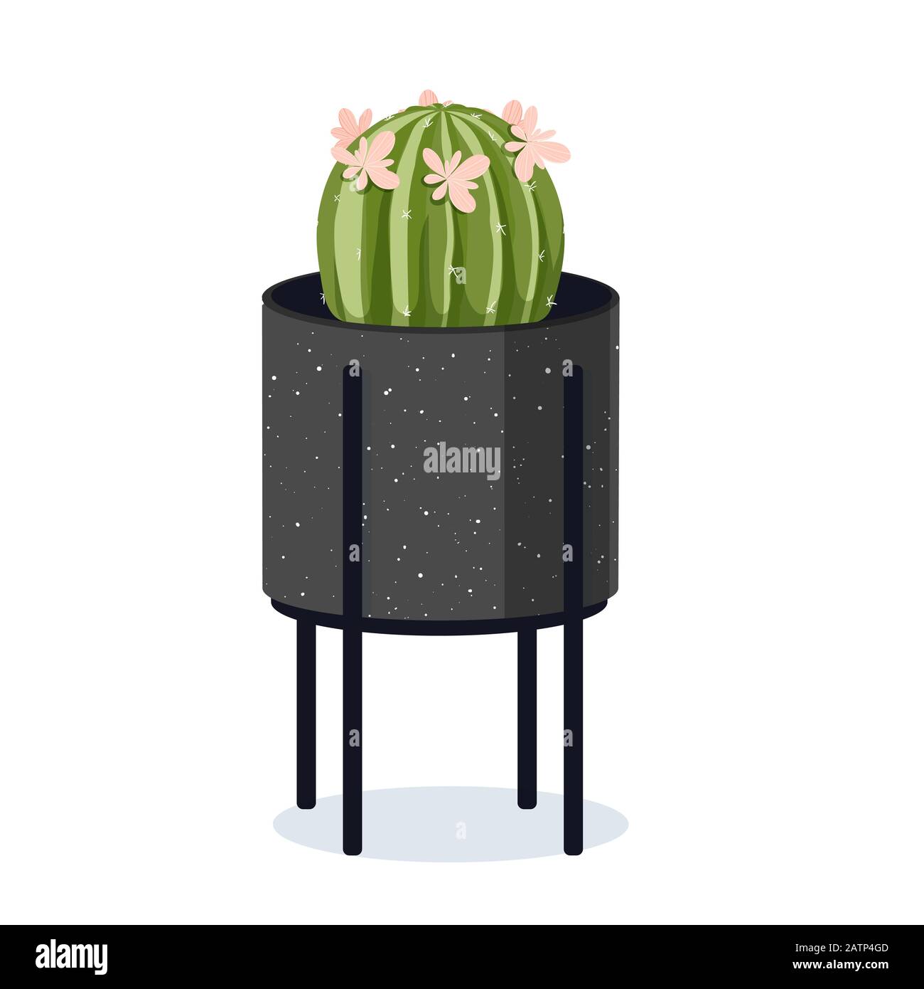 Cactus en pot de fleurs. Style scandinave. Illustration vectorielle ...