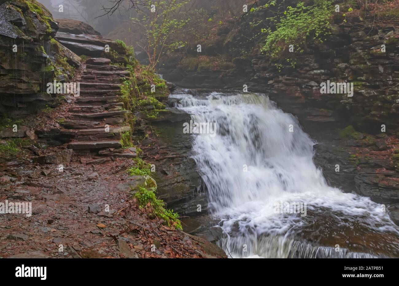 Escalier de sentier de randonnée avec chute d'eau. Le cadre de la forêt de Misty. Banque D'Images