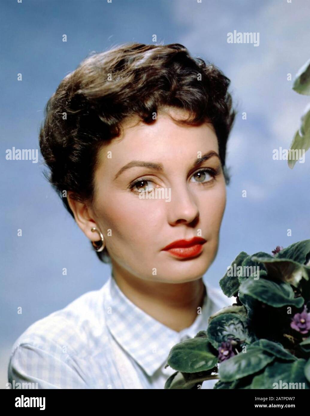 Jean SIMMONS actrice de film anglo-américaine vers 1955 Banque D'Images