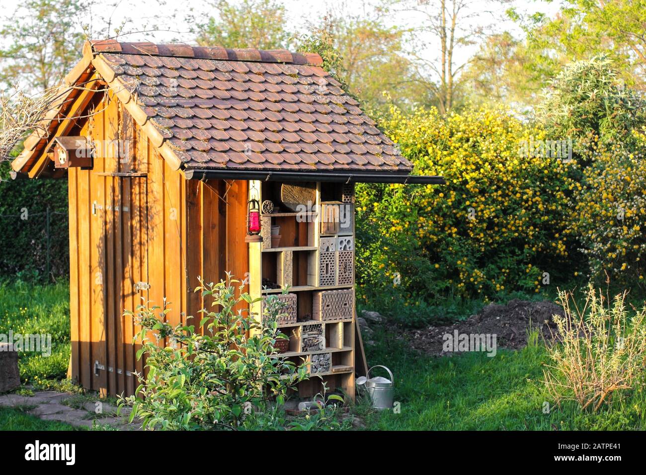 Jardin hanté avec hôtel d'insectes Banque D'Images