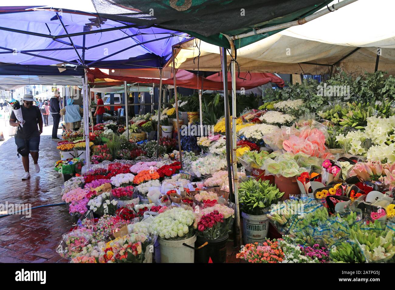 Marché Aux Fleurs, Adderley Street, Cbd, Cape Town, Table Bay, Western Cape Province, Afrique Du Sud, Afrique Banque D'Images