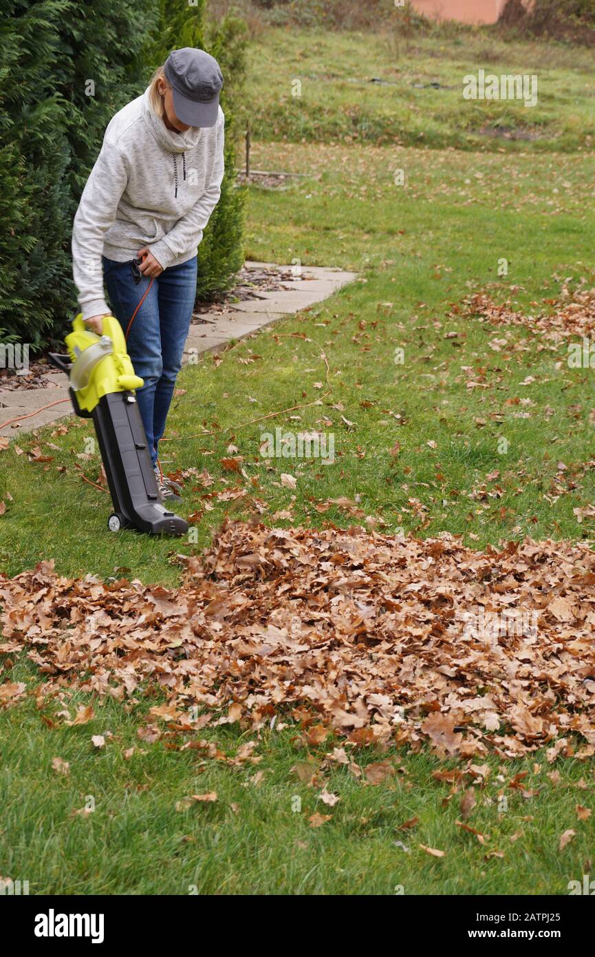 L'appareil est très utile en automne jardinage Raclant les feuilles avec l'aide d'un ventilateur. . Banque D'Images