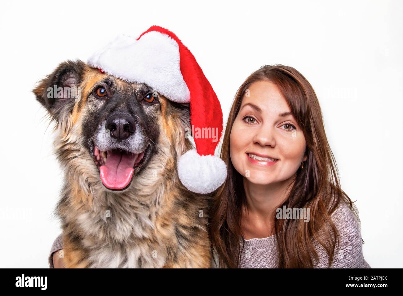 Un portrait de Noël d'une femme et de son chien sur fond blanc; Studio Banque D'Images