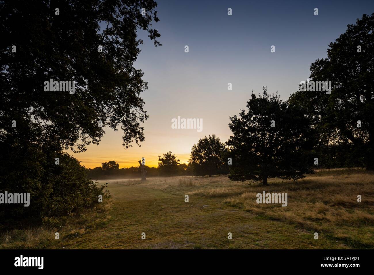 Lecture Et Woking Lieu Shoot, Angleterre Royaume-Uni Banque D'Images