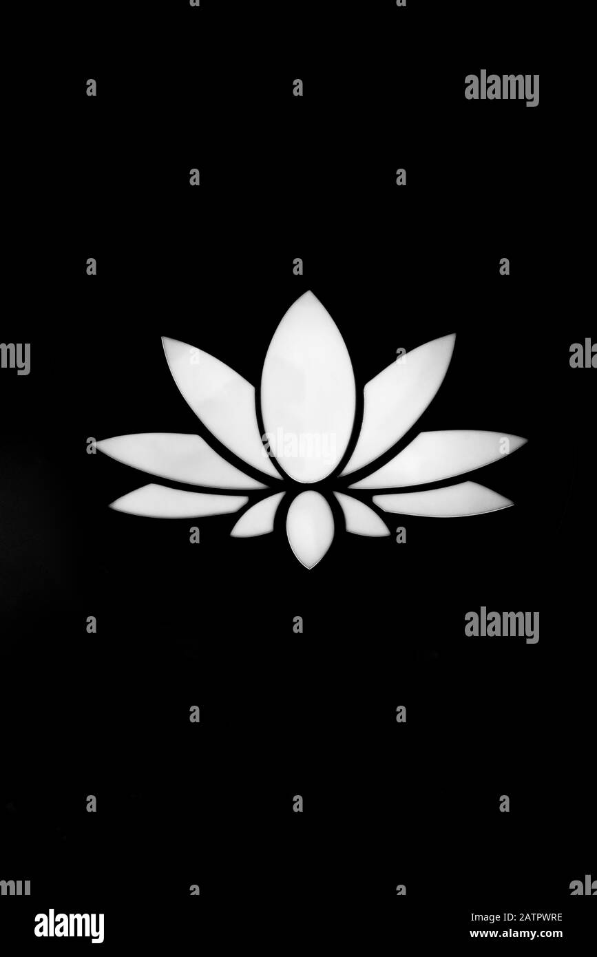 Fleur de Lotus sur noir Banque D'Images