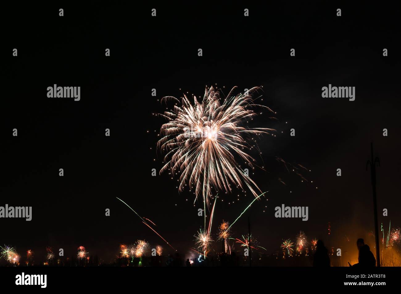 2020 nouvel an feux d'artifice colorés explosant sur le ciel au-dessus du lac Lacul Morii, Bucarest, Roumanie - 1/1/2020. Banque D'Images