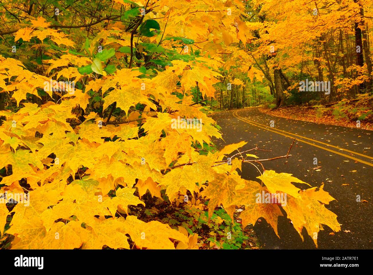 Log Slide Road, Photo Rocks National Lakeshore, Grand Marias, Michigan, États-Unis Banque D'Images