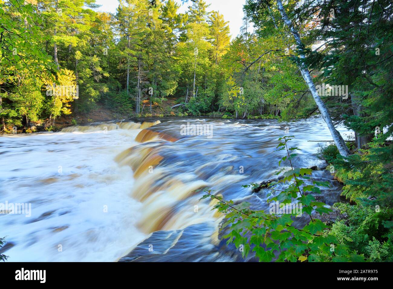 Chutes De Tahquamenon, Parc National De Tahquamenon Falls, Upper Penninsula, Paradise, Michigan, États-Unis Banque D'Images