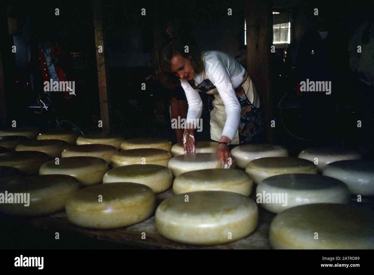 Photo vernaculaire prise sur un film analogique de 35 mm transparent, considéré comme représentant l'homme dans une chemise à manches longues blanche parmi de grandes roues de fromage vieillit, 1970. () Banque D'Images